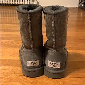 Gray uggs